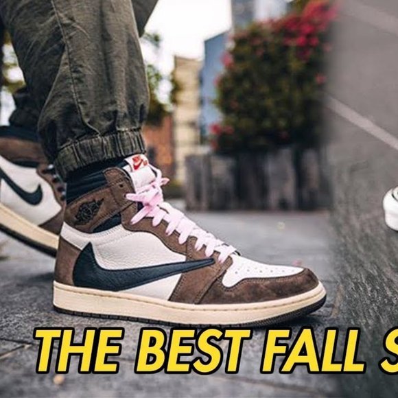 Meet your Posher, Yorman - Picture 1 of 1